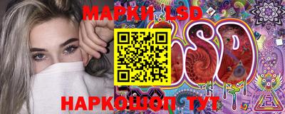 шишки Братск