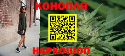 шишки Братск