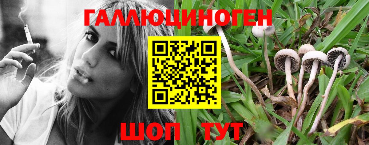 Галлюциногенные грибы GOLDEN TEACHER  Вход с VPN  Рославль 